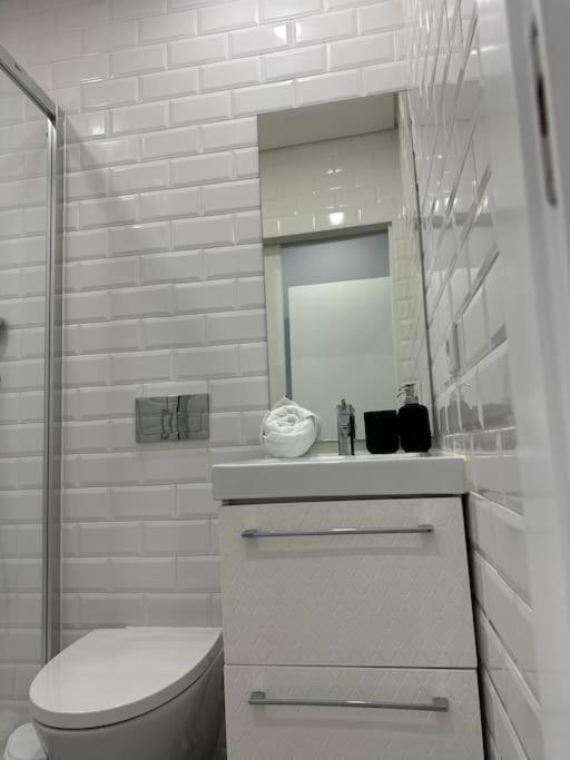 Duplex Com Jacuzzi Em Olival Basto * Lissabon